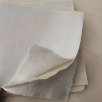 Complexe géotextile non tissé avec géomembranes pour filtration et drainage, matériau polyester, couleur noire