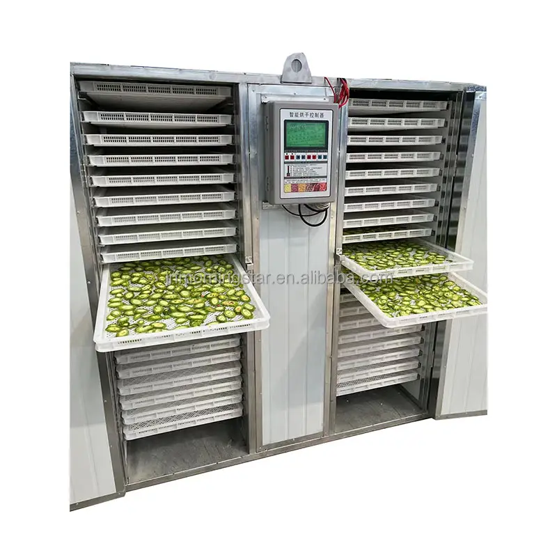औद्योगिक पेशेवर फल सब्जी नींबू खाद्य फ्रीज सुखाने ड्रायर Dehydrator मशीन मछली dryers