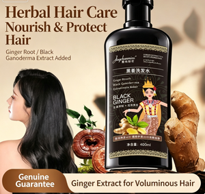 Shampoo au gingembre noir, extrait de plantes, soin hydratant pour les cheveux, lavage nettoyant, 400 ml - Product Image 3