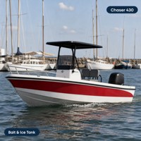 Bateau côtier en fibre de verre 4,3 m, coque en V à 14 degrés, garde-bouée en acier inoxydable 316, éclairage LED, bateau de pêche 4 personnes, entretien réduit, T-Top, CE