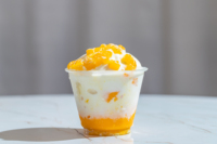 Gobelets en plastique populaires pour crème glacée/dessert avec couvercles, 8 oz (280 ml), pour parfait, fête, mariage, pique-nique, camping – Vente directe usine