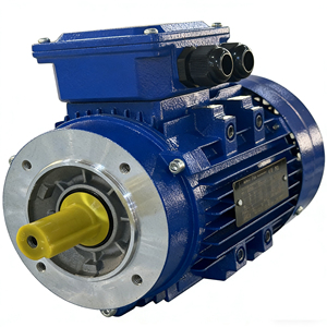 มอเตอร์ไฟฟ้าเฟรม 90 AC มอเตอร์แบบอะซิงโครนัส 3 เฟส 50HZ/60Hz ระดับ F พร้อมประสิทธิภาพ IE2 - Product Image 1