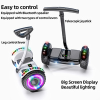 Hot Sale Smart selbst ausgleichende LED-Leuchten Elektro roller 10-Zoll-Segway-Hoverboard mit drahtlosem Btooth-Lautsprecher