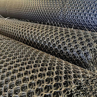 Grillage en plastique extrudé pour la protection de l'herbe, géogrille en HDPE pour le renforcement des pentes et la protection du gazon