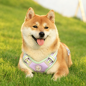 Correa para perro, correa de paseo para mascotas, cadena para perro, chaleco para cachorro, Teddy, Corgi, correa de pecho antideslizante - Product Image 5