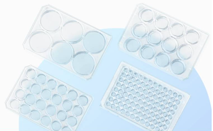 Plat Kultur Bakteri dengan Dasar Rata, Dasar Runcing, Dasar Bulat - Product Image 2