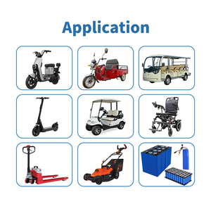 Chargeur de batterie de moto électrique AGV personnalisé 60V5A 320W 60V Lifepo4 pour autocar touristique - Product Image 6