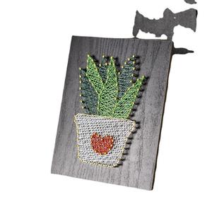 Aloe plant flower cactus DIY handmade gifts for students' homework for children handmade birthday gifts for women
