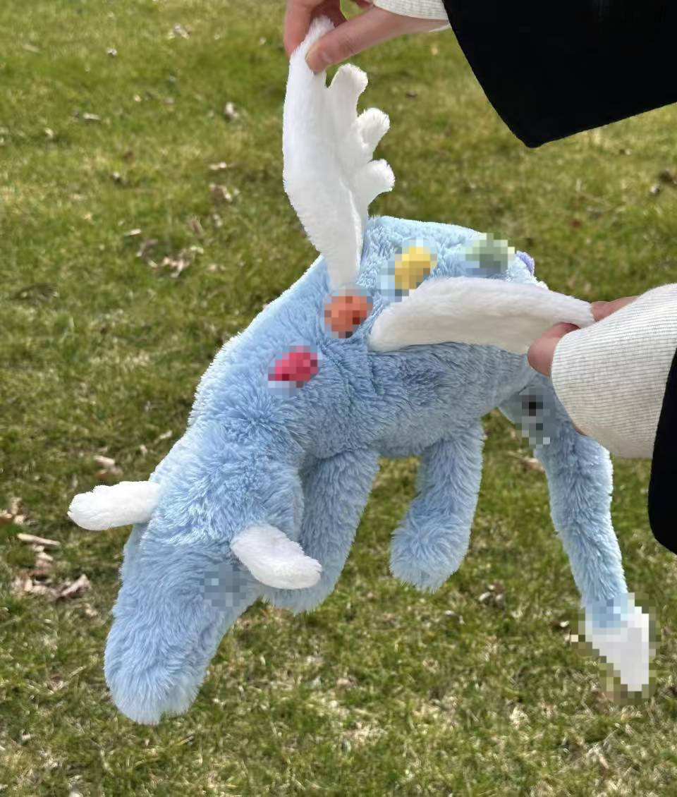 50CM Sky Dragon