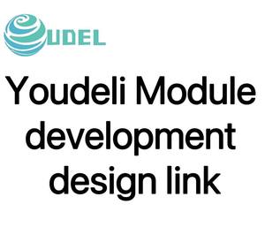 Lien de conception de développement de module Youdeli - Product Image 1