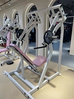 LAND Fitness Équipement de musculation commercial en acier, Nouveau design, Machine de musculation à charge libre LD-9065 Super Squat Back