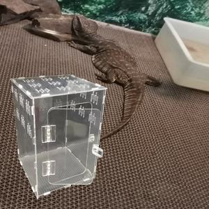 Caja de alimentación de plexiglás para <span class=keywords><strong>mascotas</strong></span>, contenedor de acrílico transparente para escalada, casa rectangular, tarantula, caja de cría de plástico para reptiles acrílicos - Product Image 2