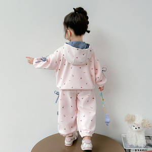 Nouvelle Collection Automne : Ensemble Deux Pièces à Capuche Dessin Animé pour Filles – Sweat à Capuche Adorable + Pantalon de Survêtement à Revers – Tenue Décontractée pour Bébés Filles - Product Image 6