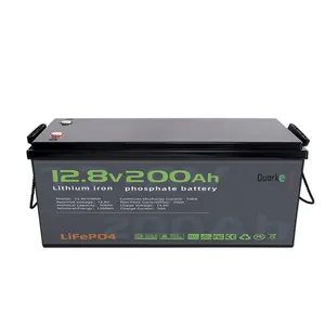 12V 24V 50Ah 100Ah 150Ah 200Ah 300Ah LiFePO4 סוללות ליתיום יון סוללת אחסון אנרגיה מובנית BMS LFP ליתיום מארז סוללות