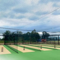 Gazon artificiel imperméable pour cricket, hauteur de poils de 10 mm, pour intérieur, synthétique, haute densité PE SF10