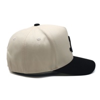 5-paneels custom 3D geborduurde logo gebogen klep baseball pet groothandel hoge kwaliteit 100% katoen voorpaneel unisex volwassenen