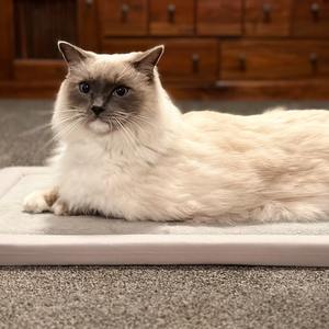 2026年 製品アップグレード版 超ソフトタッチ 新登場 肉厚ぬいぐるみ 畳ラグカーペット 無毒性 ベビープレイマット 形状記憶フォーム 赤ちゃん用ハイハイマット - Product Image 6