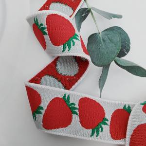 Cinta Elástica de Nylon de Alta Elasticidad de 30mm de Ancho, 100/200 Yardas, Blanca y Roja, Doble Cara, Tejido Elástico para Bolsos y Sujetadores - Product Image 3