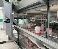 Cage à balles automatique pour bébés, 2 pièces, couveuse de poulet, outil de jour, batterie