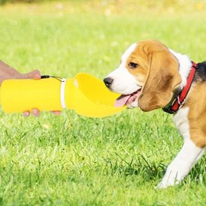 Botella de Agua Portátil para Perros 2 en 1, Dispensador de Agua Plegable a Prueba de Fugas, Taza de Viaje de Grado Alimenticio para Paseos y Senderismo, Regalo - Product Image 4