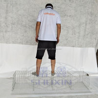 9 cages de poulet galvanisées, pour la mise en place, dimensions de la batterie