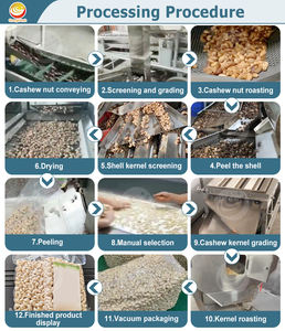 خط إنتاج آلي لمعالجة الكاجو من الشركات المصنعة، آلة معالجة الكاجو الجديدة الأعلى مبيعًا بسعر منخفض - Product Image 3