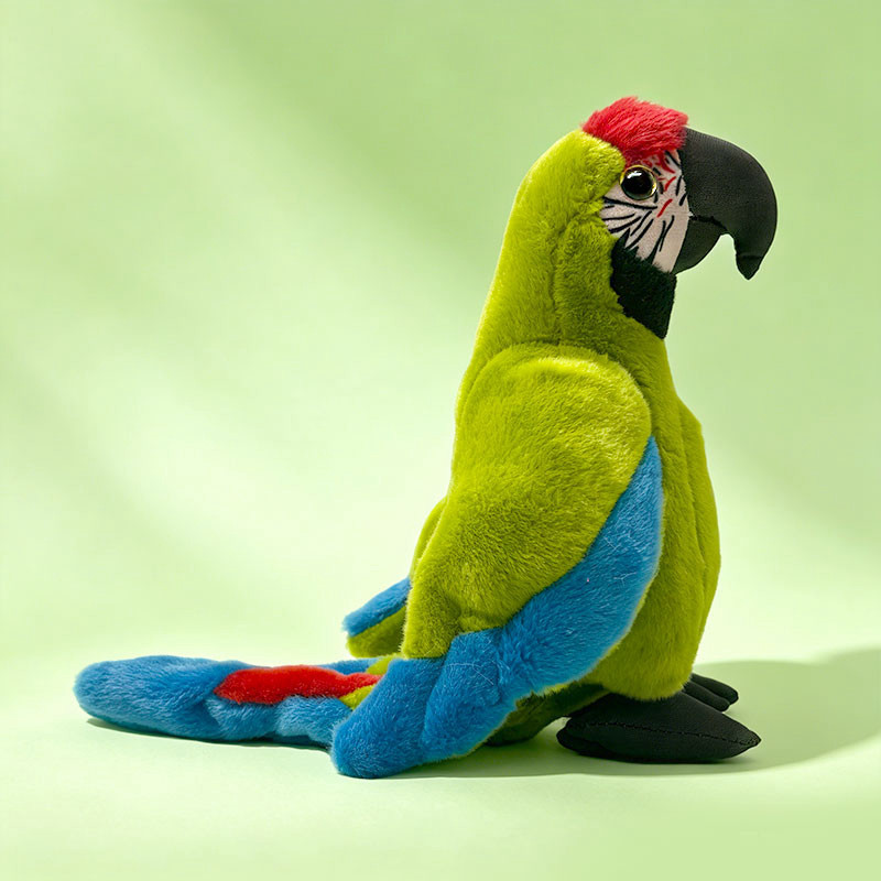 Guacamayo de guerra