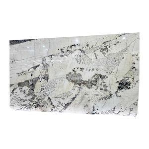 무료 샘플 천연 광택 알파인 화이트 화강암 석판 - Product Image 5