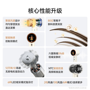 Hair Dryer 51Pro 1K DC Motor High Speed Ionic Single Diffuser Plug Electric White Gold Shimmering Silver Blue - Product Image 3