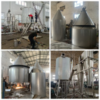 Machine de séchage par pulvérisation de lait de protéine de lactosérum de jus liquide Lpg 50 industrielle Séchoir par pulvérisation de poudre d'algues de soupe d'oeufs de carotte déshydratée