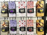 Vente en gros OEM – Lot de 2 diffuseurs de parfum liquide personnalisés pour voiture, à clipser sur grille d'aération, parfum longue durée, désodorisant de voiture de luxe