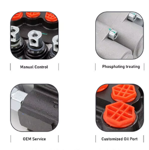 Válvulas de Control Direccional Personalizables P40-G12-G38-3OT, Soluciones Hidráulicas a Medida - Product Image 6