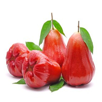 Voedingsmiddelenklasse hoogwaardig fruitextract oplosmiddel-extractie concentraat sappoeder vitamine was appelpoeder