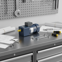 Moteur micro-électrique à engrenages 90W, monophasé 220V 60Hz, efficacité IE3, avec régulateur de vitesse et boîte de réduction, charge maximale 200, vente en gros directe usine