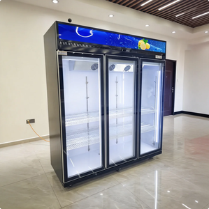 Refrigerador Comercial Personalizado al por Mayor, Refrigerador para <span class=keywords><strong>Cerveza</strong></span>, Enfriador de Bebidas Energéticas con Puerta de Vidrio, 300L - Product Image 5