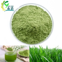 Poudre de jus d'herbe d'orge naturelle en stock usine, extrait végétal de haute qualité, marque Core Pure, en fût de 25 kg