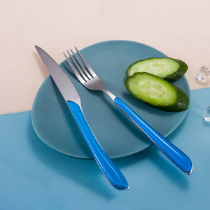 Vente en gros de couteaux, fourchettes et cuillères en acier inoxydable pour le camping <span class=keywords><strong>Couverts</strong></span> en métal écologique avec manche en plastique pour fêtes - Product Image 5