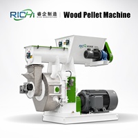 Machine à granulés de bois RICHI CE Ring Die - Granulateur de biomasse économique pour pin, EFB et bois de caoutchouc