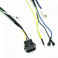 Kabel Harness Multi-End dengan Konektor Campuran, Terminal Spade & Ring Lugs untuk Peralatan Rumah Tangga & Unit Kontrol Elektronik