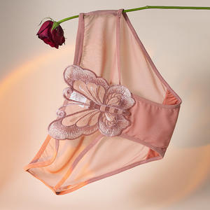 Braguitas de Encaje Sexy de Talla Grande para Mujer, Estilo Bikini, Tejidas, de Tiro Bajo, Encantadoras, Transparentes y con Malla - Product Image 4