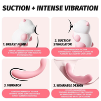 Vibrateur G-Spot à aspiration sonique en forme d'ours, portable, en silicone, 10 fréquences, 10 modes de succion, moins de 45 dB, OEM ODM, vente en gros