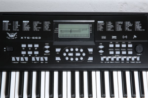 Orgue électronique numérique XTS-666, <span class=keywords><strong>clavier</strong></span> complet, <span class=keywords><strong>percussion</strong></span>, touches noires et blanches, 50 cartons, contrôleur MIDI en plastique, 61 M Audio Pro - Product Image 6