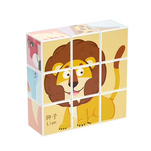 Juguetes Educativos Personalizados al por Mayor, Cubo Mágico Magnético 3D de Plástico con Certificación CE, Rompecabezas - Product Image 5