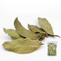 Pods de décoration naturels pour aquarium, aquascape eaux noires, cachettes pour poissons et crevettes