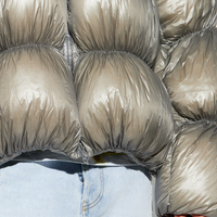 Doudoune surdimensionnée chaude d'hiver pour hommes finition technologique brillante imperméable manteau de ballon décontracté remplissage de plumes longues froncé