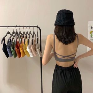 Sujetador de <span class=keywords><strong>Yoga</strong></span> deportivo inalámbrico de punto sin costuras transpirable <span class=keywords><strong>para</strong></span> mujer, chaleco de realce con tirantes de Color sólido, logotipo de copa transpirable de secado rápido - Product Image 3