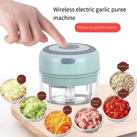 C692 Vente en gros d'usine Mini pilon à ail électrique sans fil 100/250ml hachoirs à viande mélangeur automatique USB presse rechargeable