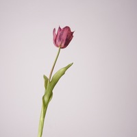K134 Tulip Real Touch, Dekorasi Pernikahan Real Touch, Tulip Putih Ungu untuk Hari Valentine, Acara Paskah, Bunga Tulip