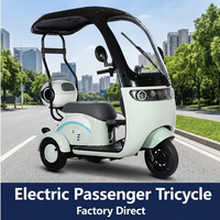 Tricycle électrique pour adultes, moteur sans balais, cadre en acier haute teneur en carbone, batterie 60V 1500Wh, 3 roues, freins à disque, 60 km d'autonomie