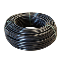 Tuyau d'irrigation goutte à goutte spécial en PE souple, diamètre 16 mm, longueur 500 m, noir, irrigation de précision pour fraises et tomates